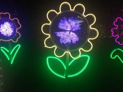 -BURBERRY(上海港汇恒隆广场店)