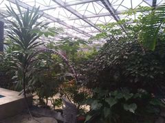 -天源吉布世温泉水乐园