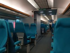 -龙阳路磁悬浮列车总站-停车场