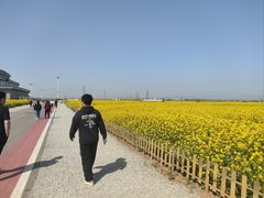 -石家庄极地海洋世界