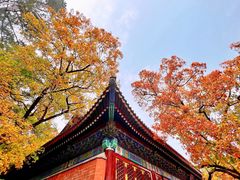 -香山公园