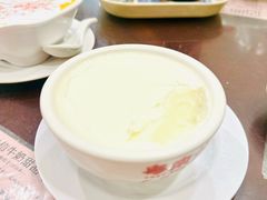 南信双皮奶-南信牛奶甜品专家