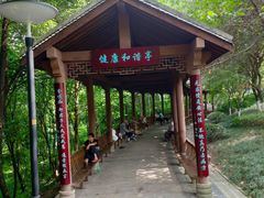 -重庆彩云湖湿地公园