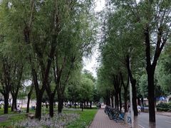 -吉林大学(前卫南区)