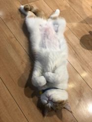 -沫儿·美甲美睫·半永久·皮肤管理