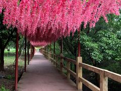 -四会奇石河风景区