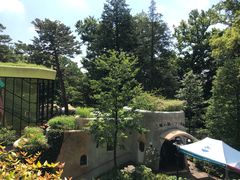 -三鹰之森吉卜力美术馆