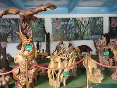 -栾川竹海野生动物园