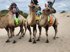 -库伦旗银沙湾旅游景区