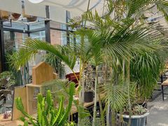 -北马山庄植趣咖啡