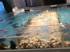 -罗二娘·鲜切牛自助火锅(罗湖东门步行街店)