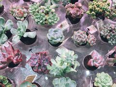 -KKV(深圳kk one 店)