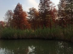 -梁鸿国家湿地公园