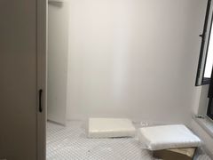 -科立恩进口除甲醛甲醛检测