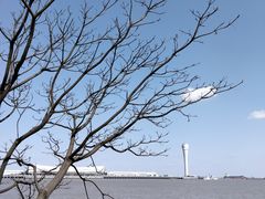 -上海吴淞炮台湾国家湿地公园