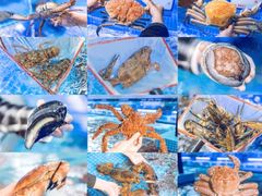 -驻海渔市(置信店)