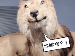 -上海自然博物馆