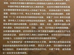 景点-王府井古人类文化遗址博物馆