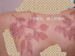 -上海锦妍医疗美容门诊部