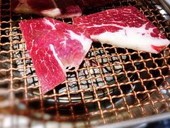 -九田家黑牛烤肉料理(石路天虹店)