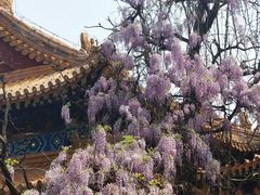 -北京国子监胡同