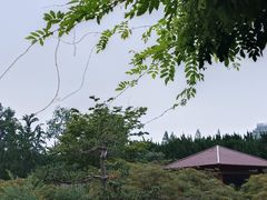 -嘉定紫藤园