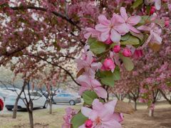 -蓝地时尚庄园(北京清河营地铁站店)