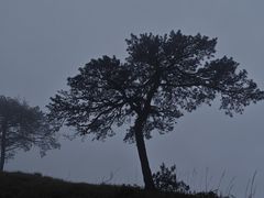 -萍乡武功山风景名胜区