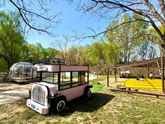 -圣露庄园·露营·烤肉·亲子