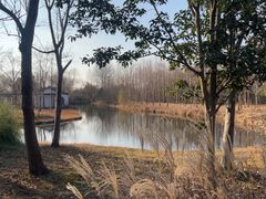 -溱湖国家湿地公园