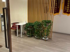 -智慧盲人按摩艾灸-颈肩腰膝疼痛调理(浦东店)