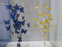 -松江科技馆