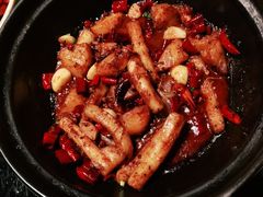 -三强鸽子(中原路店)