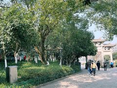 -峙山公园