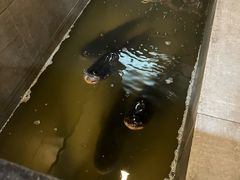 -鄱阳湖·江西小炒·瓦罐煨汤(五道口店)