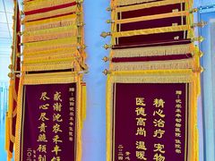 -派美特宠物医院·核磁CT·骨科肿瘤·疑难转诊(沈农禾丰店)