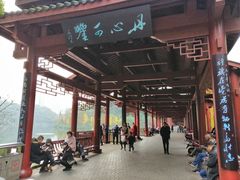 -重庆彩云湖湿地公园