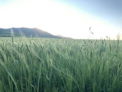 -扁都口生态休闲旅游区