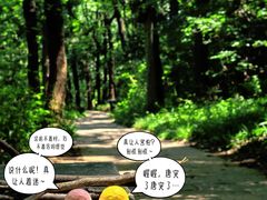 -九曜山