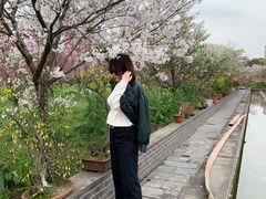 -南汇桃花村