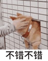 -汉堡王(金鹰天地广场店)