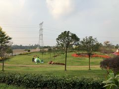 -紫颐香薰山谷景区