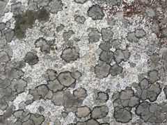 -陕西省红河谷森林公园