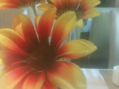 -同喜烤鸭店(光芒店)