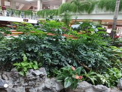 -广州白天鹅宾馆