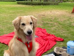 -南宁良凤江国家森林公园