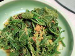 -金蝉食府(维吉奥广场店)