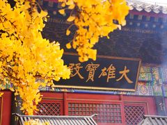 -红螺寺