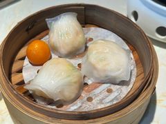 -点都德·毕德寮