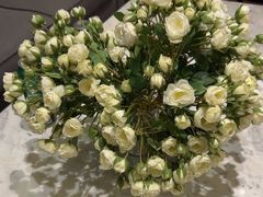 -同庆楼(奥体中心店)